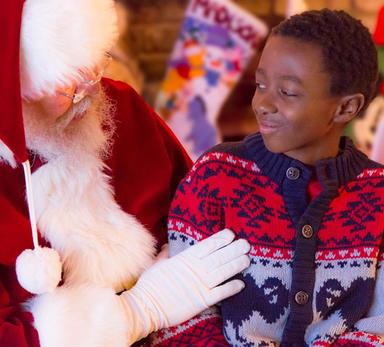Holiday Characters... Have various popular Characters come to your special holiday party or event!