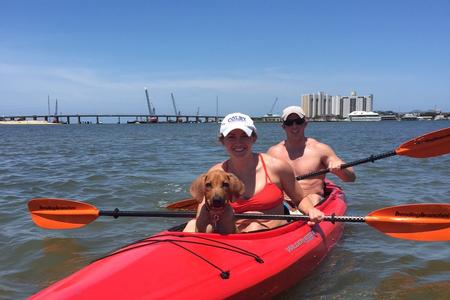 Rhodesian Ridgeback Puppy - Baron