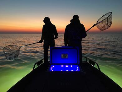 Crabbing at Sunset