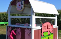 Picture of Hank's Wooden Pig Race