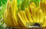 Bananas