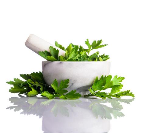 Parsley is a rich source of anti-Oxidant nutrients