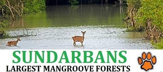Sundarban National Park