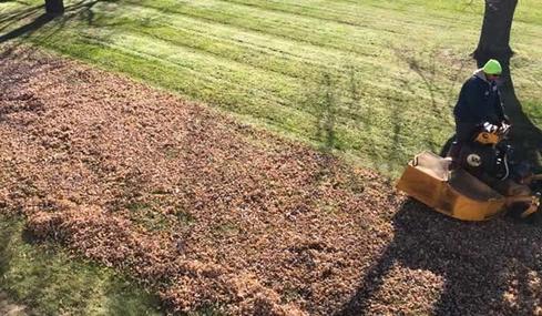 FALL YARD CLEAN UP SERVICE