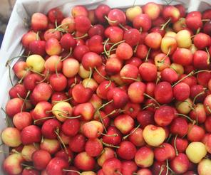 Cherry vàng, cherry Mỹ, hoa quả nhập khẩu tại hà nội