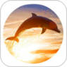 dolphin tours longboat key