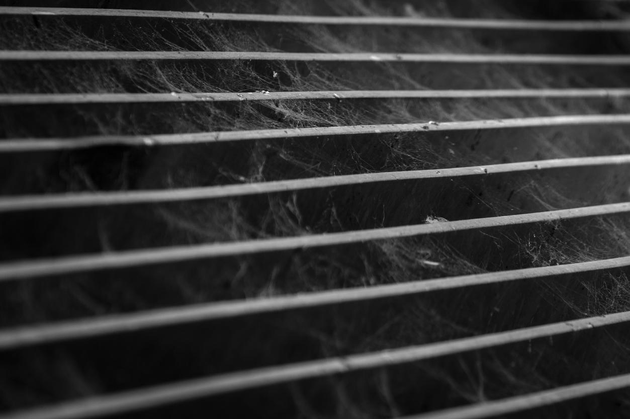 black and white metal railing with cobweb