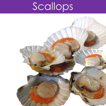 Scallops