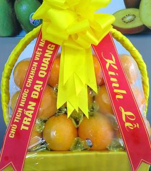 So sánh hai loại hoa quả nhập khẩu kiwi vàng và kiwi xanh