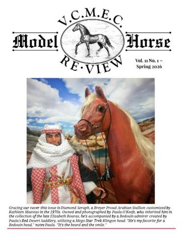 VCMEC Vol 11 No 1A PDF