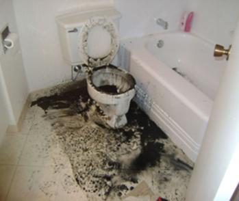 A toilet that has overflowed leaving feces all over the floor