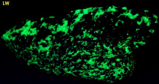 fluorescent WILLEMITE, CALCITE with FRANKLINITE - Franklin Mine, Franklin, Franklin Mining District, Sussex County, New Jersey, USA