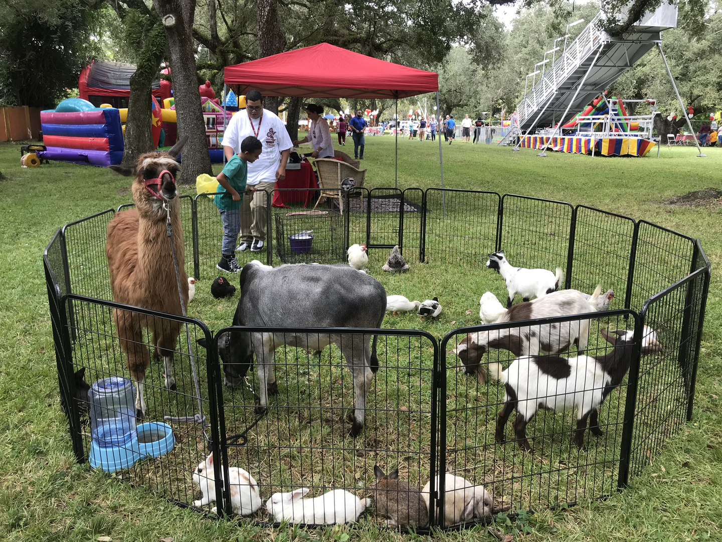 Traveling Petting Zoo