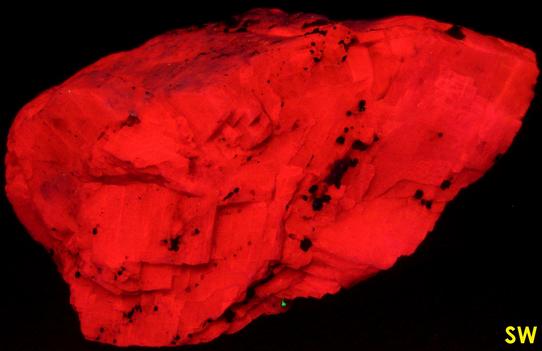 fluorescing CALCITE, MAGNETITE - Franklin, Franklin Mining District, Sussex County, New Jersey, USA - ex Borden, ex Morris Museum