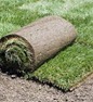 Professional sod installation with guarantee in Oakville