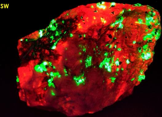 fluorescent CALCITE, WILLEMITE, SUSSEXITE, FRANKLINITE, SPHALERITE, ZINCITE - Sterling Mine, Sterling Hill, Ogdensburg, Franklin Mining District, Sussex County, New Jersey, USA - type locality