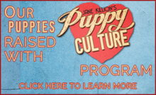 Puppy Culture