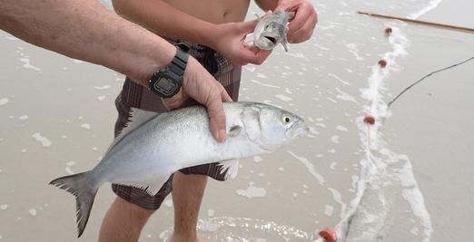 Anglers holding fish