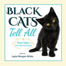 Black Cats Tell All Front Cover