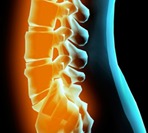 Blue blacklight spine with orange glowing vertebra