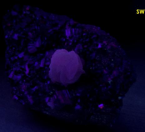 ENARGITE, SPHALERITE, PYRITE, fluorescent CALCITE,Huanzala Mine, Huallanca District, Bolognesi Province, Ancash Department, Peru