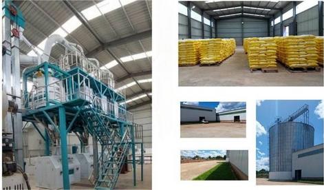 hongdefa maize milling plant