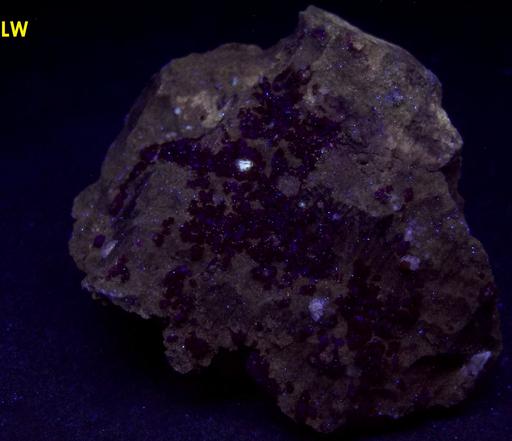 SPHALERITE, CALCITE, SW LW fluorescent FLUORITE - Dufferin Aggregates / Flamboro Quarry ("Flamborough Quarry"), West Flamborough Township, Hamilton, (Wentworth County), Ontario, Canada - ex Donald Lapham