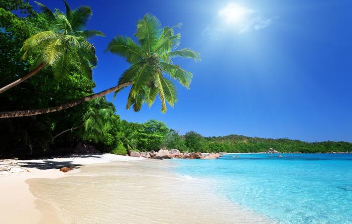 Fun plans that you are dreaming about