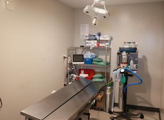Main surgical suite of Cincinnati Hills Animal Clinic Montgomery Road location