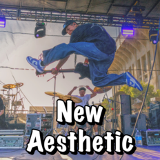 new aesthetic los angeles coliseum concert