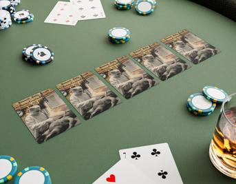 Alien Autopsy Inspection Poker Playing Cards