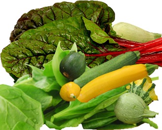 Magnesium (Mg) — Alkaline Mineral 