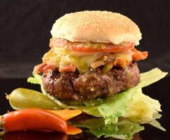Zippy Jalepeńo Venison Burgers-Chef of the Future-Your Source for Quality Seasoning Rubs