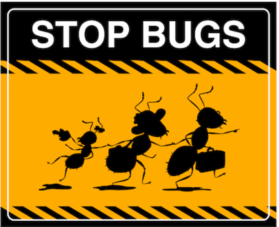 Ant pest control Staunton