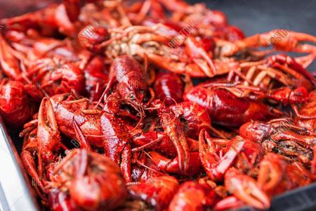 crawfish boerne Texas, seafood boerne Texas, fresh seafood near me, fresh Texas seafood, boerne