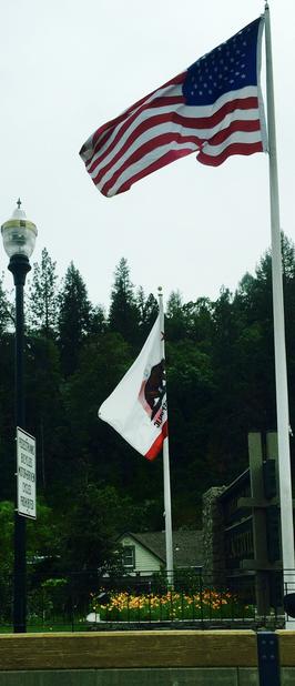 Photos by Josette Johnson Placerville Petals