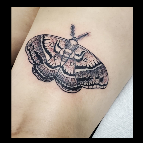 Tattoos by Jeff Ziozios on X: Elephant Patch tattoo tiger tattoo flower  tattoo tribal tattoo by Jeffrey Ziozios at Bay City Tattoos Tampa Florida  #ink #inked #inkedup #tampa #ybor #yborcity #tattoosbyjeffziozios  #baycitytattoos #