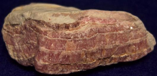 RHODOCHROSITE - Capillitas Mines, Andalgala Department, Catamarca Province, Argentina