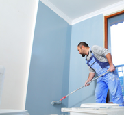 Local Painter Surrey