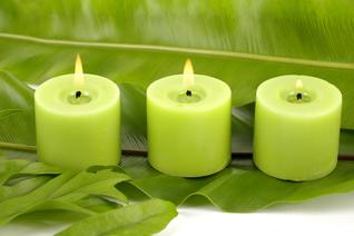 Photo of 3 green candles lit on top of same hue of green leaves