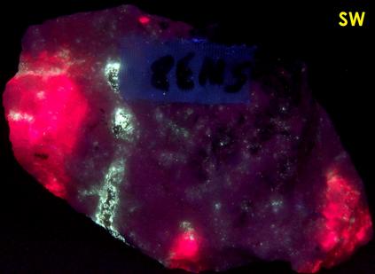 SW LW fluorescent TUGTUPITE, POLYLITHIONITE, AEGIRINE ACMITE - Tasseq Slope - West (Taseq Slopes), Tasseq area, Ilimaussaq complex, Narsaq, Kujalleq (Kitaa Province; West Greenland), Greenland, Denmark