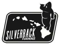 Silverback HI
