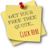 Get Your Free Tree Quote! CLICK HERE