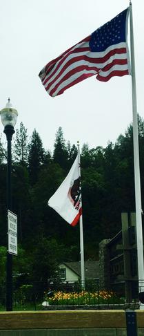 Photos by Josette Johnson Placerville Petals