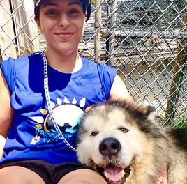 Passage East Kennels - Dog Daycare, Dog Grooming