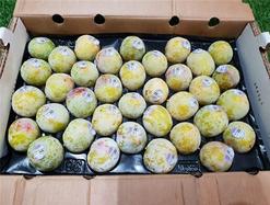 Bán mận khủng long Mỹ