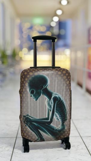 "NOTHING TO DECLARE" Carry On Suitcase Protector.