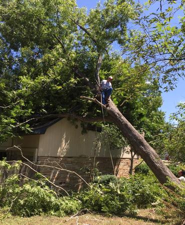 Remove Dangerous Trees, Trim Limbs off Roofs - Aggieland Tree Service ...