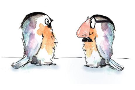 Big Nose Bird