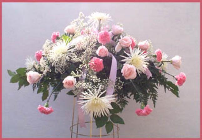 Casket Cover of Spider Mums, Carnations & Roses